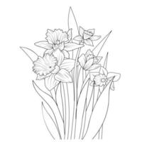 flores ramo de narciso flor mão desenho ilustração vetorial elementos de design vintage buquê floral coleção natural página para colorir e livro para adultos e crianças isolar no fundo branco. vetor