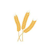 logotipo de agricultura de trigo vetor