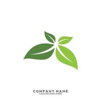 logotipo de folhas verdes. planta natureza eco jardim estilizado ícone vetor botânico.