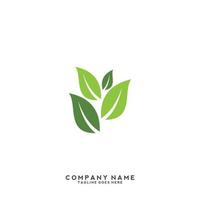 logotipo de folhas verdes. planta natureza eco jardim estilizado ícone vetor botânico.