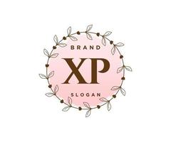 logotipo feminino xp inicial. utilizável para logotipos de natureza, salão, spa, cosméticos e beleza. elemento de modelo de design de logotipo de vetor plana.