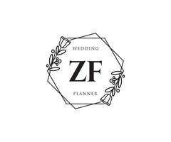 logo feminino inicial zf. utilizável para logotipos de natureza, salão, spa, cosméticos e beleza. elemento de modelo de design de logotipo de vetor plana.