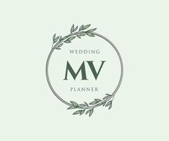 coleção de logotipos de monograma de casamento de letra mv, modelos modernos minimalistas e florais desenhados à mão para cartões de convite, salve a data, identidade elegante para restaurante, boutique, café em vetor