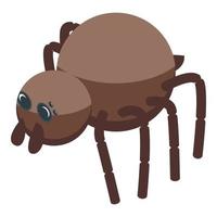 ícone de aranha marrom, estilo isométrico vetor