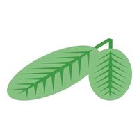 ícone de folhas de amendoim, estilo isométrico vetor