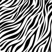 padrão de impressão de pele de animal zebra. fundo transparente com padrão de pele de zebra. padrão sem emenda de vetor de motivo animal zebra. padrão de pele de zebra.