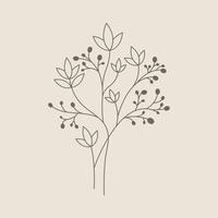doodle de linha de folhas e flores vetor