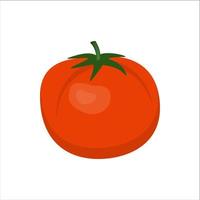 tomate fresco suculento vermelho isolado no fundo branco, ilustração vetorial em estilo simples. vetor