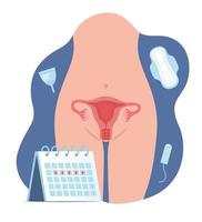 menstruação. anatomia do corpo da mulher, útero. diversos produtos de higiene feminina. calcinhas, absorventes, copos. ilustração de saúde reprodutiva de mulher. ginecologia. anatomia. conceito de vetor. vetor