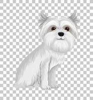 Terrier australiano branco na posição sentada personagem de desenho animado isolado em fundo transparente vetor