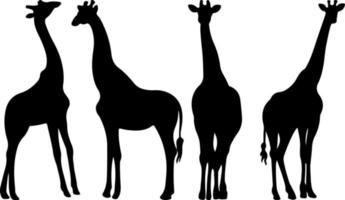 vetor de silhueta de girafa para sites, obras de arte relacionadas a gráficos