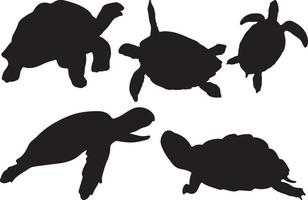 vetor de silhueta de tartaruga para sites, obras de arte relacionadas a gráficos