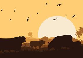 Angus cow silhouette sunset vector livre