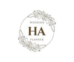 ha coleção de logotipos de monograma de casamento de letras iniciais, modelos minimalistas e florais modernos desenhados à mão para cartões de convite, salve a data, identidade elegante para restaurante, boutique, café em vetor