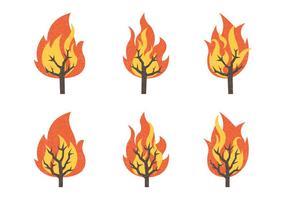 Coleção Burning Bush Vector Illustration