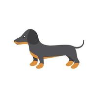 ilustração vetorial de dachshund para impressão e web design em um fundo branco eps 10 vetor