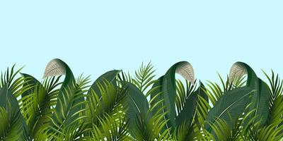borda botânica feita de folhas tropicais. ilustração vetorial. composições da moda com folhas tropicais. adequado para brochuras, papéis de parede, impressões, cartões postais, decoração, design e muito mais vetor