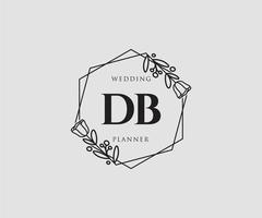 logotipo feminino db inicial. utilizável para logotipos de natureza, salão, spa, cosméticos e beleza. elemento de modelo de design de logotipo de vetor plana.