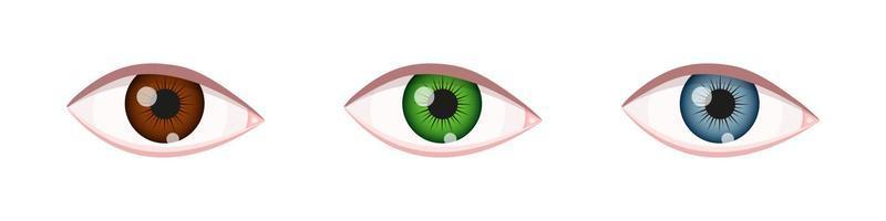 olhos de cores diferentes. globos oculares com íris marrom, verde e azul. órgão humano da visão vista de perto vetor
