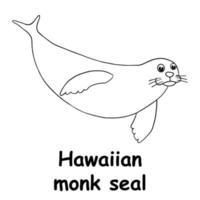 crianças linha ilustração colorir foca-monge havaiana. contorno animal