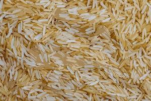 ilustração em vetor realista de fundo de arroz cru parboilizado de grãos longos. grumos de arroz como plano de fundo e textura.