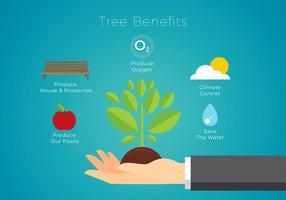 Benefícios arbóreos Vector grátis