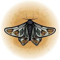 borboleta floral boho mariposa inseto ilustração vetorial detalhada 14 vetor