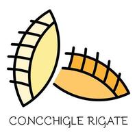 vetor de contorno de cor de ícone concchigle rigate