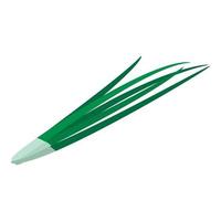 ícone de cebola longa verde, estilo isométrico vetor