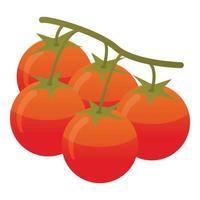 ícone de tomate de ramo, estilo isométrico vetor
