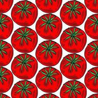padrão de tomates desenhados à mão vermelha, fatias de tomate em um fundo branco. ilustração vetorial vetor