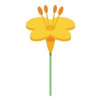 ícone de flor amarela de canola, estilo isométrico vetor