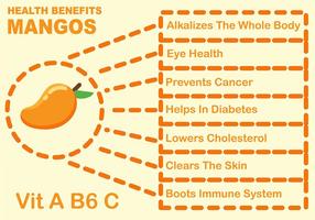 Infografia de Benefícios de Frutas de Manga vetor