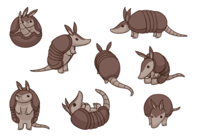 Vetores de desenhos animados armadillo