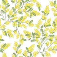 padrão de primavera sem costura com raminho de mimosa vetor
