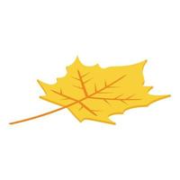 ícone de folha de outono, estilo isométrico vetor