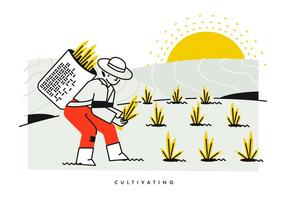 Camponês Cultivando E Plantando Ilustração De Vector De Arroz