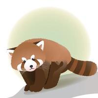animal fofo em tons pastel, panda vermelho vetor