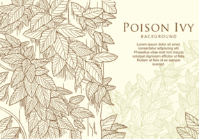 Folha de Ivy Poison Hand Drawn grátis vetor