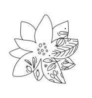 vetor de bebê bonito desenhado à mão linha de inverno de flor de azevinho de natal com bagas de linha, textura de ramos. ilustração de contorno do ícone do advento de natal para cartão de saudação bebê, web design, convite