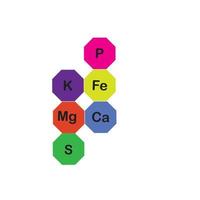 minerais microelementos e macroelementos, úteis para a saúde humana. fundamentos da alimentação saudável e estilos de vida saudáveis. vetor