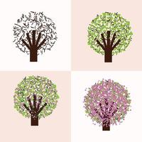 flores de quatro estações outono primavera flores de árvore ilustração em vetor ciclo de vida