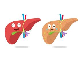 ilustração do órgão do fígado dos desenhos animados bom para educação, banner, ícone saudável. vetor