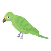 ícone de papagaio verde, estilo isométrico vetor