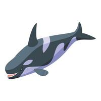 ícone de natação de baleia assassina, estilo isométrico vetor