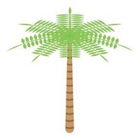 ícone da palma do deserto, estilo isométrico vetor