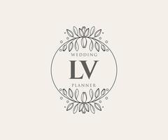 coleção de logotipos de monograma de casamento de letras iniciais lv, modelos modernos minimalistas e florais desenhados à mão para cartões de convite, salve a data, identidade elegante para restaurante, boutique, café em vetor