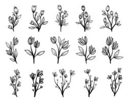flor doodle lineart mão desenhada coleção primavera gráficos vetoriais vetor
