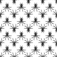 vetor sem emenda de padrão de aranha