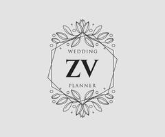 coleção de logotipos de monograma de casamento de letra inicial zv, modelos modernos minimalistas e florais desenhados à mão para cartões de convite, salve a data, identidade elegante para restaurante, boutique, café em vetor